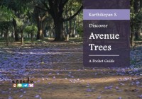 Discover Avenue Trees
