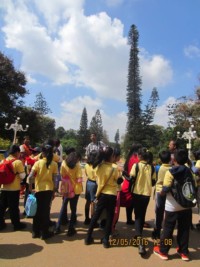 Christmas Tree Walk